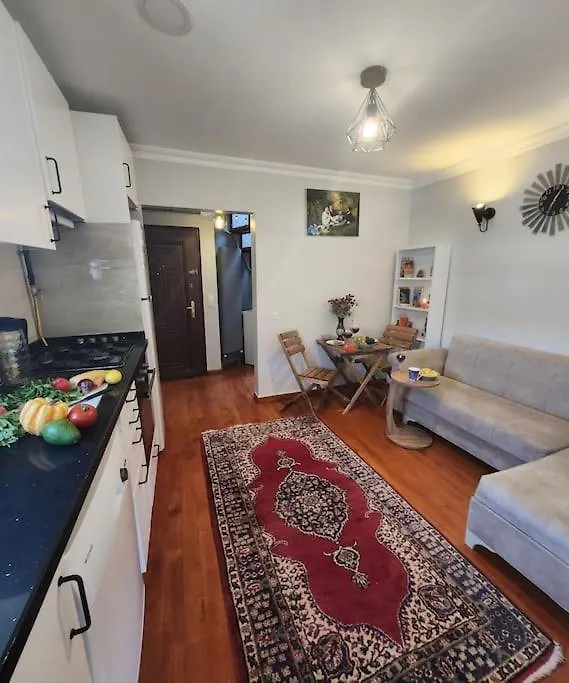 Taksim Private Terrace Close To Antique Store Galata Port Cihangir 伊斯坦布尔 公寓