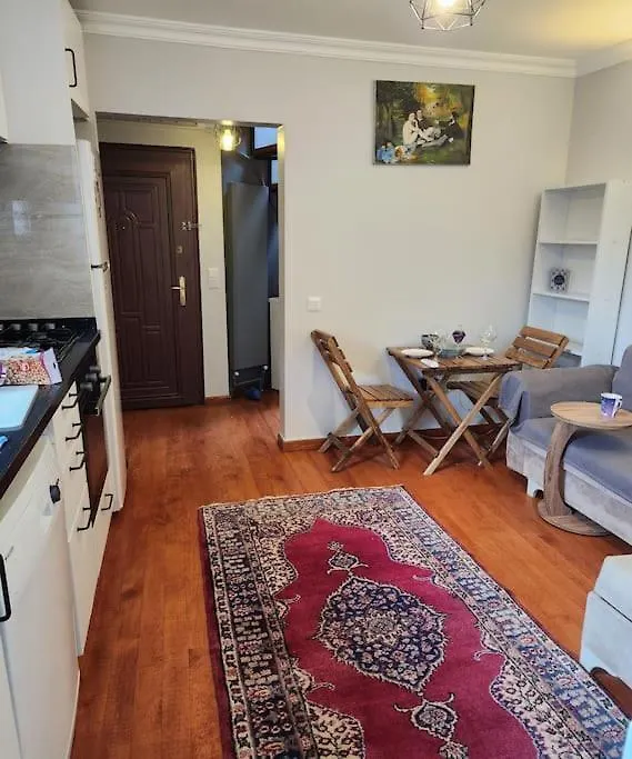 公寓 Taksim Private Terrace Close To Antique Store Galata Port Cihangir 伊斯坦布尔