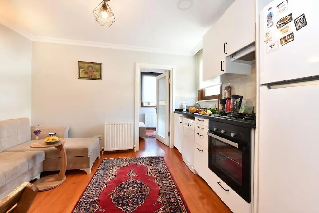 公寓 Taksim Private Terrace Close To Antique Store Galata Port Cihangir 伊斯坦布尔