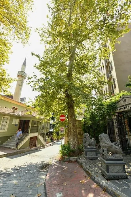 公寓 Taksim Private Terrace Close To Antique Store Galata Port Cihangir 伊斯坦布尔
