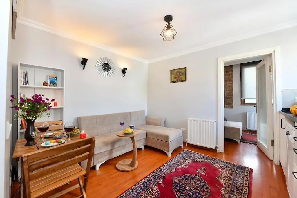 公寓 Taksim Private Terrace Close To Antique Store Galata Port Cihangir 伊斯坦布尔