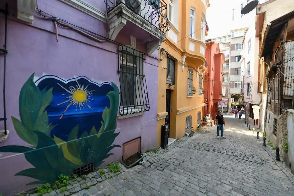 公寓 Taksim Private Terrace Close To Antique Store Galata Port Cihangir 伊斯坦布尔