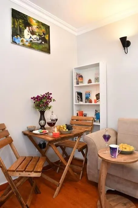 Taksim Private Terrace Close To Antique Store Galata Port Cihangir 伊斯坦布尔