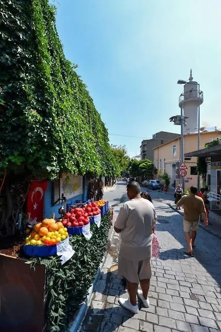 公寓 Taksim Private Terrace Close To Antique Store Galata Port Cihangir 伊斯坦布尔