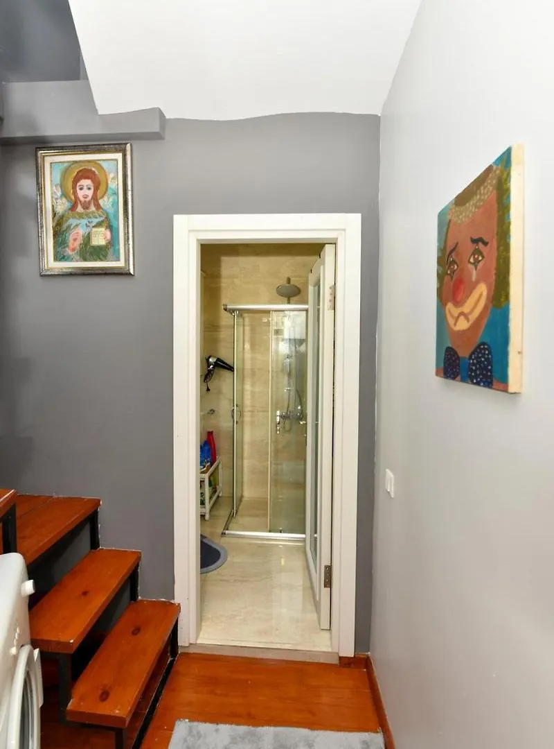 公寓 Taksim Private Terrace Close To Antique Store Galata Port Cihangir 伊斯坦布尔 土耳其