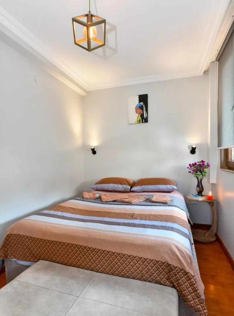Taksim Private Terrace Close To Antique Store Galata Port Cihangir Istanbul Apartment