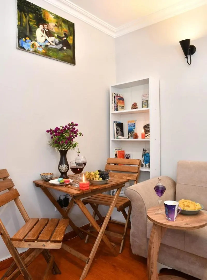 Taksim Private Terrace Close To Antique Store Galata Port Cihangir 伊斯坦布尔 公寓